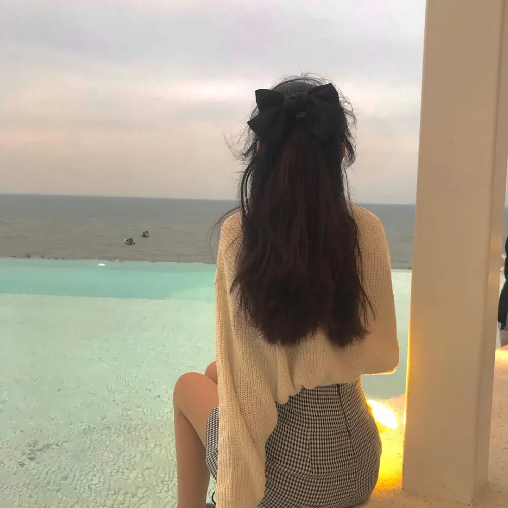 看不见的苏 海报